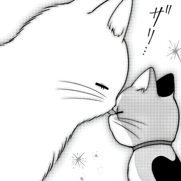 ういろうとすあま