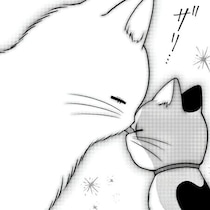 【ねこ漫画】「おれさまが助ける！」一度は人間に捨てられた猫が心を許すまで…を描いたハートフル漫画に「泣ける」の声!!【作者に聞く】