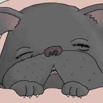 愛犬の死に直面して「なぜか涙が出ない」…悲しみを押し殺した飼い主の“リアルな感情”【作者に聞く】