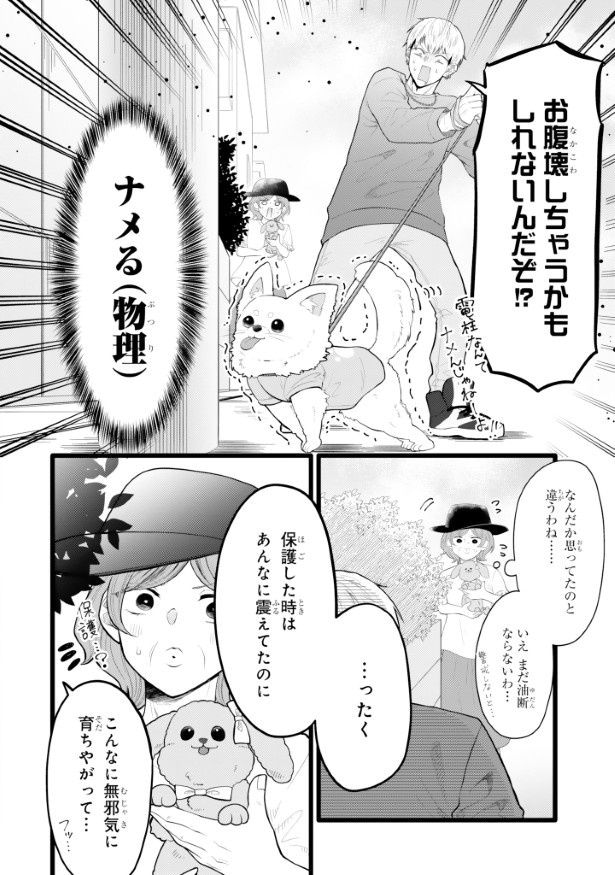 チワワが震えてる！かわいい!!