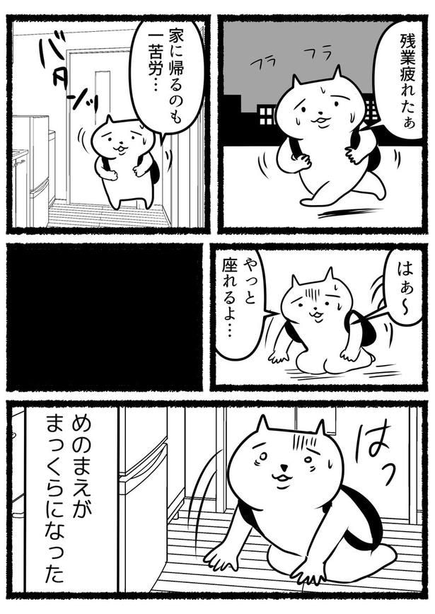 家に帰った瞬間、力尽きる残業ねこ。