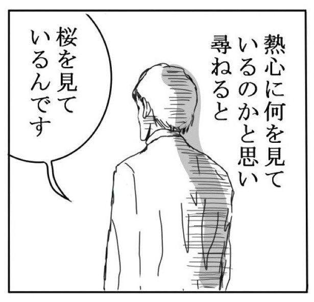 桜_P05