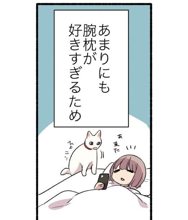 甘えんぼ猫に腕枕ヤクザされてる話_P03