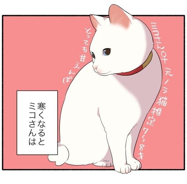 寒いのが嫌いな猫たちが要求してくるものとは…？