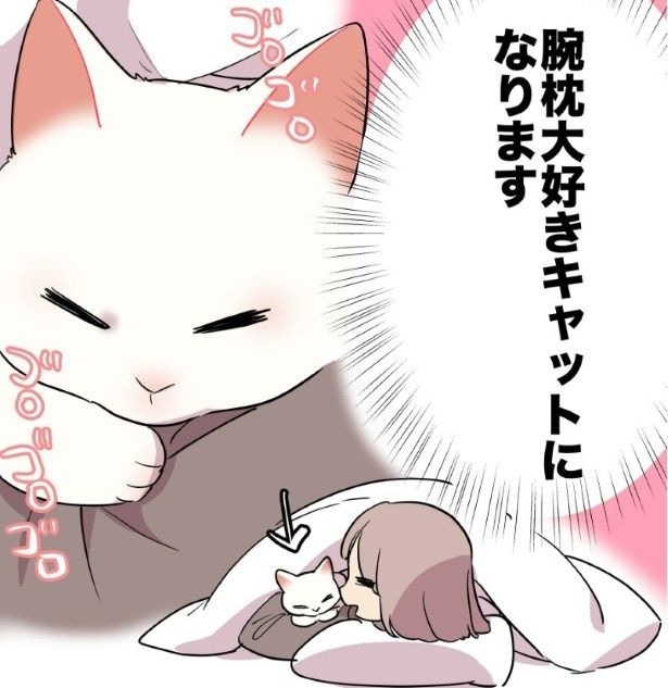 腕枕猫！かわいすぎる!!