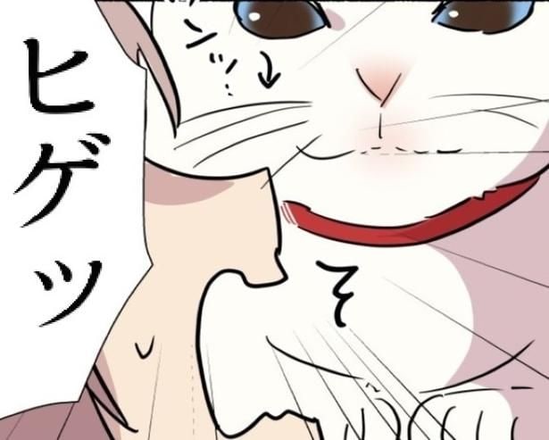 「もう寝るからね」ベッドで待機する白猫→冬になると現れる「腕枕ヤクザ」の予想外な生態【作者に聞く】