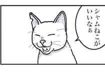 死んだ猫が天国で選ぶ“新しい柄の秘密”とは？心温まる転生ストーリーを見逃せない理由【作者に聞く】