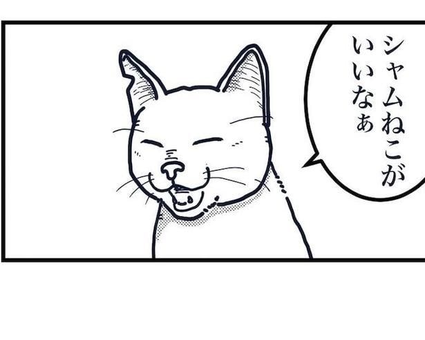 死んだ猫が天国で選ぶ“新しい柄の秘密”とは？心温まる転生ストーリーを見逃せない理由【作者に聞く】