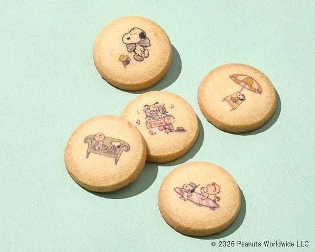 シーキューブ「阪急うめだ本店限定発酵バターサブレ 5枚入り」(648円)