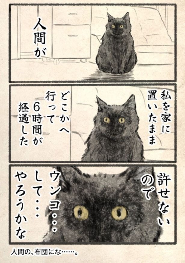 初めてのお留守番で猫は?