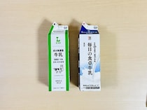 【夏の自由工作】牛乳パック2個で作れるパクパクハンド【小学校全学年向け】