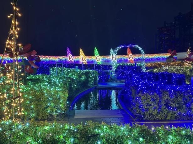 色とりどりの光に彩られた園内は、まるで南国の楽園。昼とはまったく違う表情を見せる夜のハワイアンズで、幻想的なひとときを過ごしたい