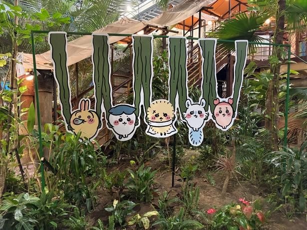 ハワイアンズならではの南国の植物に囲まれたフォトスポット。左からうさぎ、ハチワレ、ラッコ、モモンガ、古本屋と一緒に、夏の思い出の一枚を残そう