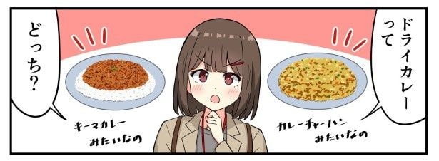 ドライカレーの定義とは?