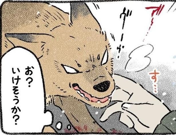 「噛まれたらイヤだな…」噛む放浪犬の預かりを決断！「殺処分」の危機から救った奇跡の数日【作者に聞く】