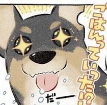 引きこもりの主人公が念願のドーベルマンを飼う？世界が一変した感動実話「生きててよかった」【作者に聞く】