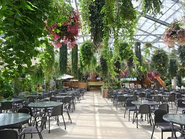 「花のキッチン」は多くの花や植物に囲まれて癒やされる空間