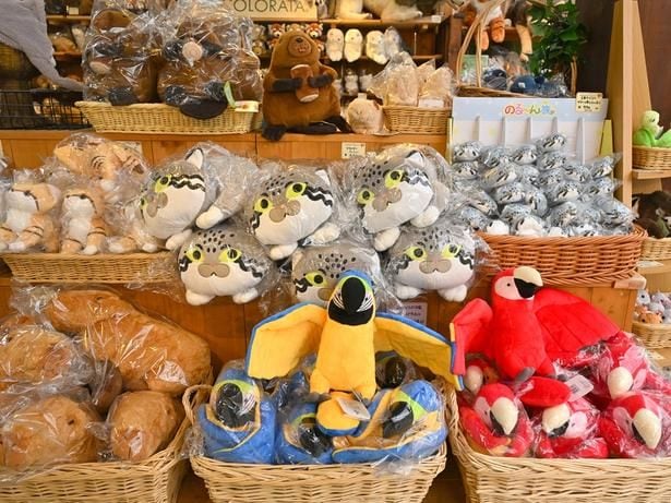 動物のぬいぐるみはかわいさ抜群。飼育員監修のオリジナルグッズも多い