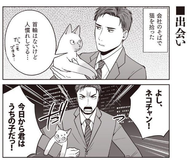 どこかで猫を拾うことがあったら、そのときは飼おうと心に決めていた