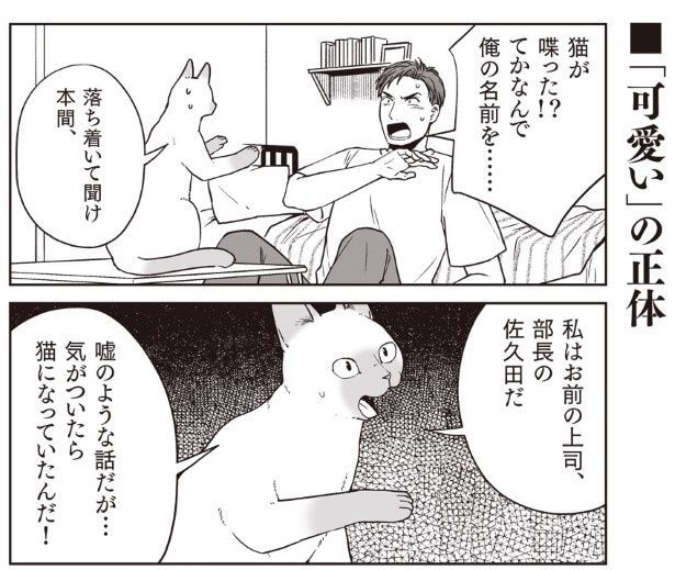 このかわいいネコチャンが部長だとは思いたくない!!