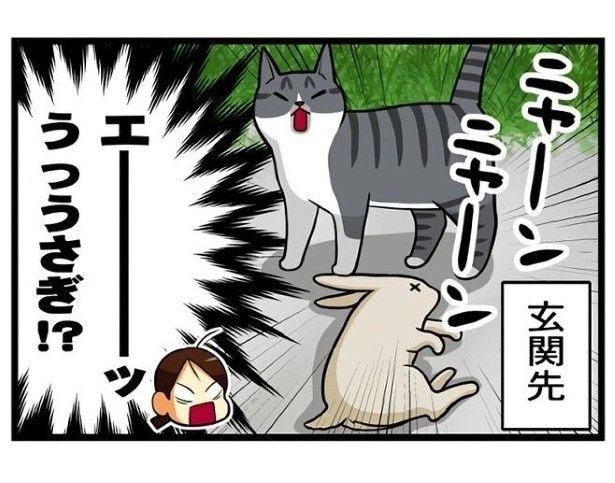 実家の猫1_P04