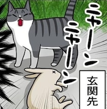 「まさか、うっ、うさぎ？！」→田舎で育った元野良猫・最強ハンターの自慢の戦利品に一同絶句【作者に聞く】