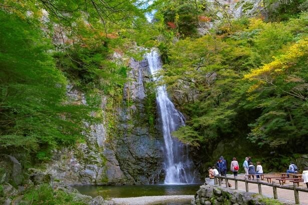 日本の滝百選にも選ばれる「箕面大滝」。春の新緑、秋の紅葉、四季ごとに違う表情を見せてくれる