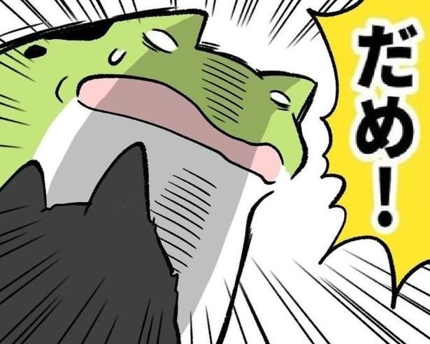 とっさに叱るとき、犬と子どもの名前が混同してしまう
