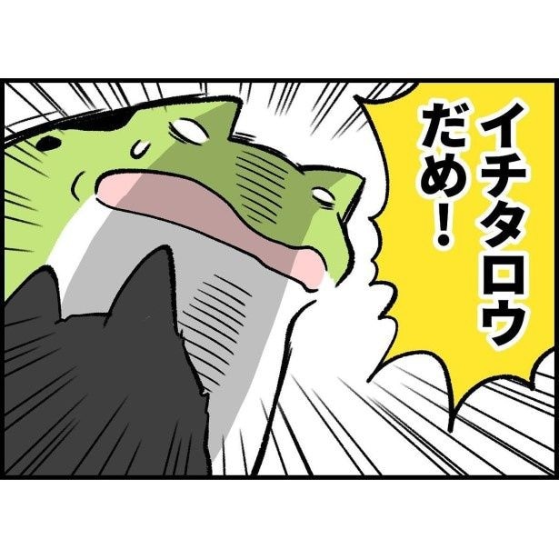 柴犬に向かって「イチタロウ(息子の名前)、だめ!」と怒鳴る