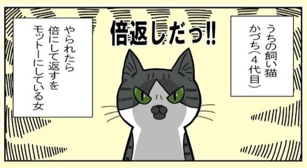 やられたら倍にしてやり返すをモットーにしている女・かづち