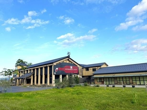 日本三景として世界中の人々をも魅了する天橋立の美しい自然が育む葡萄