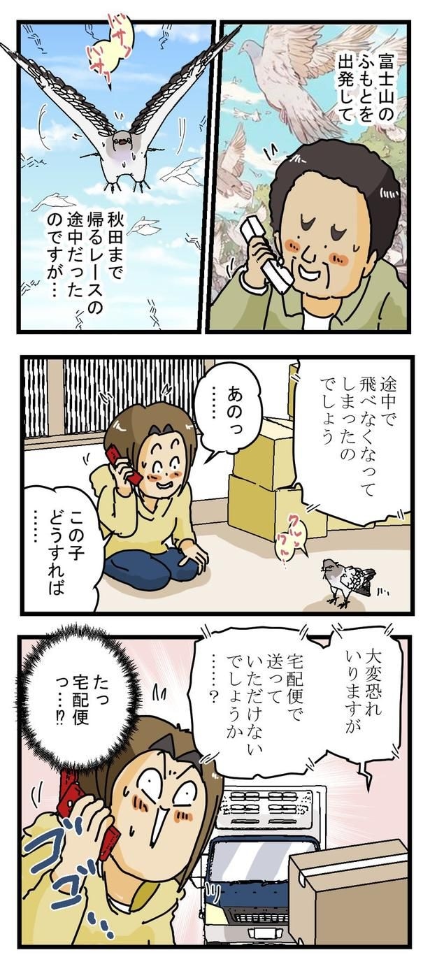 鳩ときりたんぽ(後編)3