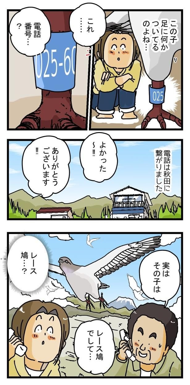 鳩ときりたんぽ(前編)2