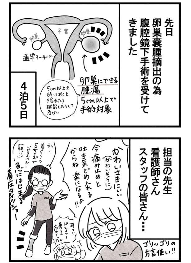 『卵巣嚢腫手術レポ』01