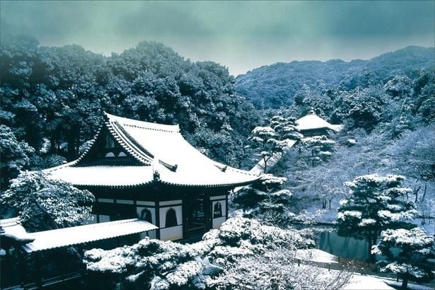ねねの道沿いに位置する臨済宗建仁寺派の寺院