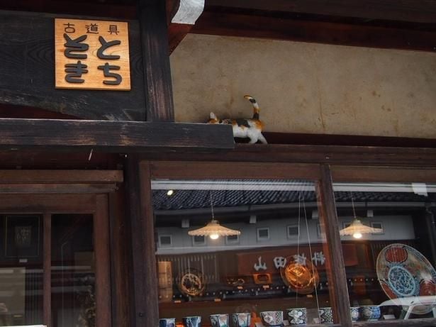 井波の古道具屋さんには三毛猫像が見え隠れしている