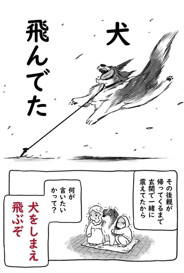 「犬をしまえ、飛ぶぞ」3