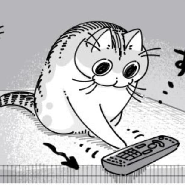 リモコンを落とそうとする猫