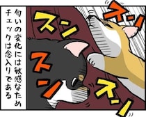 大好きなロングスカート→風でウンチ接触＆犬の「カーテン扱い」で毛だらけの悲劇【作者に聞く】