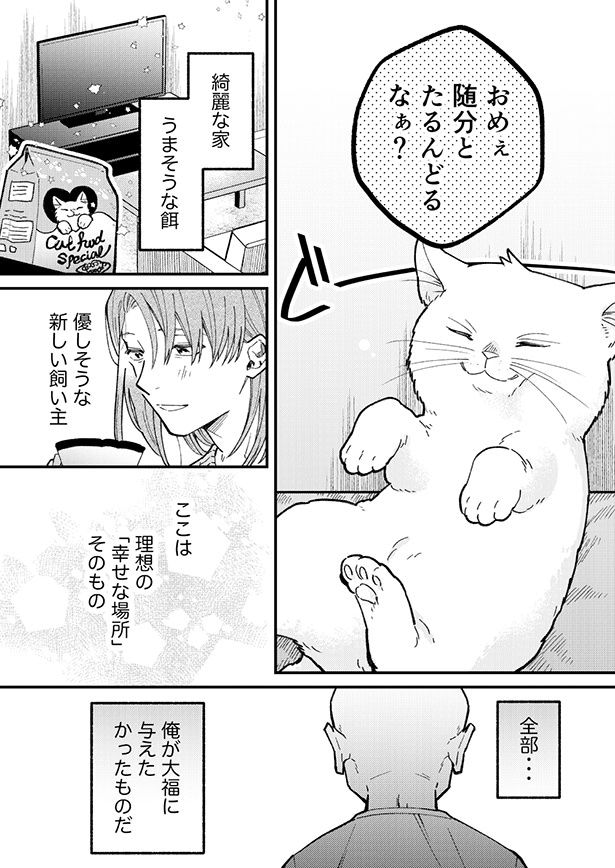 新しい飼い主の家は、猫好きおじさんが考える幸せな場所そのものだった