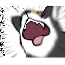 「この顔、やべぇぞ!?」柴犬が豹変！カメラを連写したらとんでもない表情が撮れた!!「怖すぎます」「入れ歯が飛んでいきそう」の声【作者に聞く】