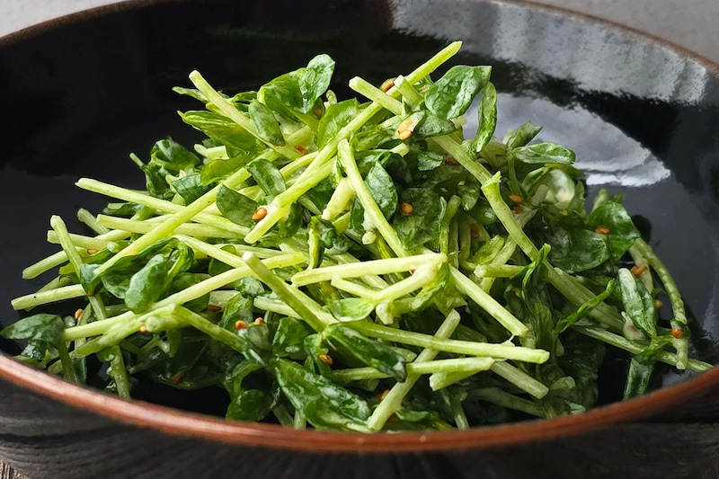 豆苗あったらコレ作って 混ぜるだけでシャキ旨の「ガーリックマヨサラダ」が鍋の副菜にも最強