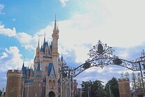 46年前のディズニーチケットを発見した男性　入場できるか試した結果…