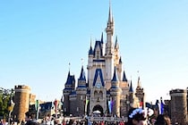 閉園後のディズニーランドで隠れていたユーチューバー　どんな罪に問われるのか…弁護士に聞いた
