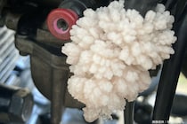 氷点下のバイクに咲いたガソリンの花、有識者は「非常に危険」と警鐘　爆発する恐れも…