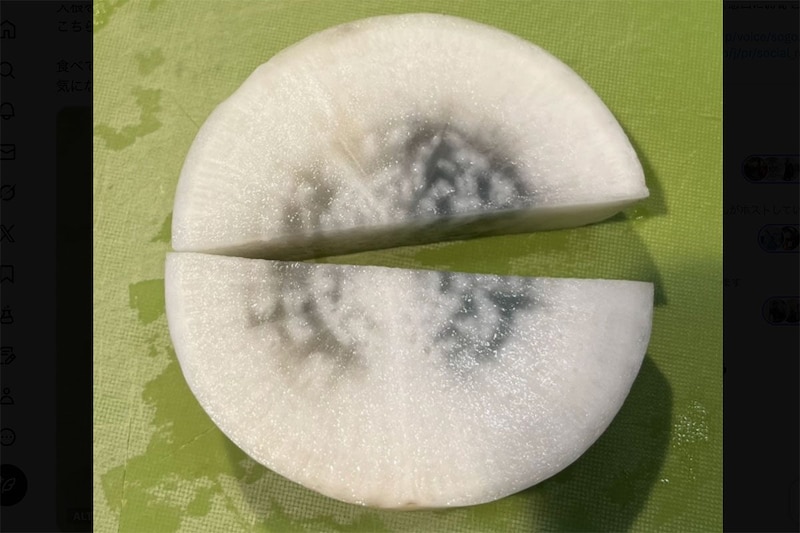 大根を切ったら断面が“青黒い”…　農水省が「捨てないで！」と異例の呼びかけ　その意外な正体とは