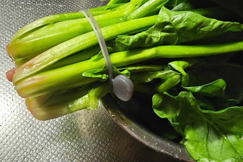 シリコーン　マルチバンド・ほうれん草