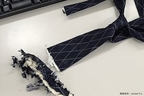 職場デスクに置かれたズタズタのネクタイ、よく見ると…　驚きの正体が「怖すぎる」と波紋