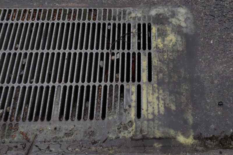 話題の“花粉溜まり”