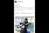 桂浜水族館 、アシカイベント中止の“正直すぎる理由”が反響呼ぶ　「めっちゃいい」「有給やね」